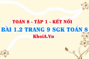 Bài 1.2 trang 9 SGK Toán 8 tập 1 Kết nối tri thức